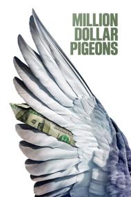 Million Dollar Pigeons <span style=color:#777>(2022)</span> [1080p] [BluRay] <span style=color:#fc9c6d>[YTS]</span>