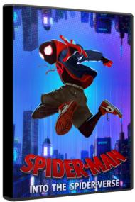 Spider-Man Into the Spider-Verse<span style=color:#777> 2018</span> Alternate Cut BluRay 1080p DTS-HD MA 5.1 AC3 x264-MgB