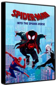 Spider-Man Into the Spider-Verse<span style=color:#777> 2018</span> HYBRID BluRay 1080p DTS-HD MA TrueHD 7.1 Atmos x264-MgB