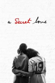 A Secret Love <span style=color:#777>(2020)</span> [1080p] [WEBRip] [5.1] <span style=color:#fc9c6d>[YTS]</span>