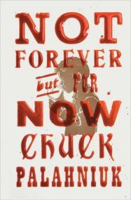 Not Forever, But For Now - A Novel