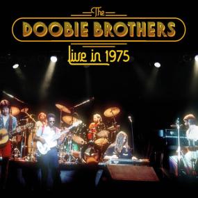 The Doobie Brothers - Live In<span style=color:#777> 1975</span> <span style=color:#777>(2023)</span> FLAC [PMEDIA] ⭐️