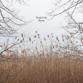 Paula Cole - Raven (2013 Pop) [Flac 16-44]