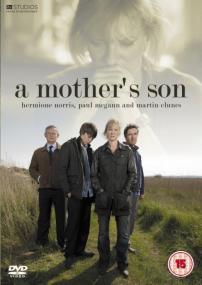 A Mothers Son (TV Mini Series<span style=color:#777> 2012</span>) 720p WEB-DL HEVC x265 BONE
