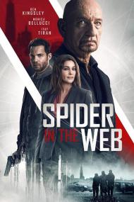 【高清影视之家发布 】网中蜘蛛[简繁英字幕] Spider in the Web<span style=color:#777> 2019</span> 1080p BluRay x265 10bit DTS<span style=color:#fc9c6d>-SONYHD</span>