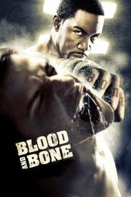 Blood and Bone<span style=color:#777> 2009</span> 1080p ROKU WEB-DL HE-AAC 2.0 H.264-PiRaTeS[TGx]