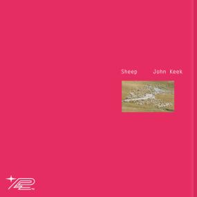 John Keek - Sheep <span style=color:#777>(2023)</span> [24Bit-48kHz] FLAC [PMEDIA] ⭐️