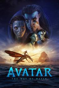 Avatar The Way Of Water<span style=color:#777> 2022</span> 480p DVDRip x264 AAC t1tan
