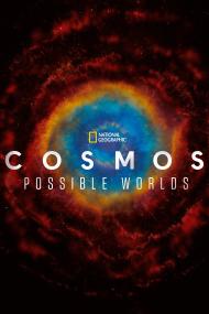 Cosmos - Possible Worlds <span style=color:#777>(2020)</span> S01 1080p UHD 10bit AI AMZN WEBRip HEVC [Hindi + English] ESub ~ (strange) Joy