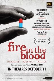Fire In The Blood <span style=color:#777>(2013)</span> [720p] [WEBRip] <span style=color:#fc9c6d>[YTS]</span>