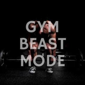 Various Artists - Gym Beast Mode <span style=color:#777>(2023)</span> Mp3 320kbps [PMEDIA] ⭐️