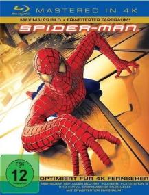 Spider-Man 1<span style=color:#777> 2002</span> ITA ENG UHDrip HDR HEVC 2160p