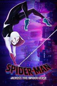 Spider-Man Across The Spider Verse<span style=color:#777> 2023</span> DVDRip x264 AC3 t1tan