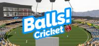 Balls.Virtual.Reality.Cricket