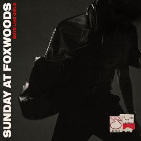 Boys Like Girls - SUNDAY AT FOXWOODS <span style=color:#777>(2023)</span> [24Bit-44.1kHz] FLAC [PMEDIA] ⭐️