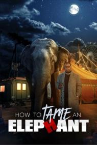 How To Tame An Elephant <span style=color:#777>(2023)</span> [1080p] [WEBRip] <span style=color:#fc9c6d>[YTS]</span>