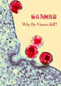 【高清剧集网发布 】病毒为何致命[第01集][中文字幕] Why Do Viruses Kill<span style=color:#777> 2010</span> S01 Complete 1080p WEB-DL AVC AAC-DDHDTV