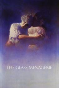 The Glass Menagerie <span style=color:#777>(1987)</span> [720p] [WEBRip] <span style=color:#fc9c6d>[YTS]</span>