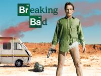 Breaking Bad (S04)<span style=color:#777>(2011)</span>(1080p)(VP9)(WebDL)( EN 5 1+SPA 2 0)(Complete) PHDTeam