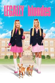 Legally Blondes<span style=color:#777> 2009</span> 1080p ROKU WEB-DL HE-AAC 2.0 H.264-PiRaTeS[TGx]