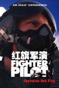 【高清影视之家发布 】红旗军演[中文字幕] Fighter Pilot Operation Red Flag<span style=color:#777> 2004</span> BluRay 1080p AAC x264<span style=color:#fc9c6d>-DreamHD</span>