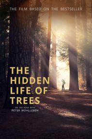 The Hidden Life Of Trees <span style=color:#777>(2020)</span> [720p] [BluRay] <span style=color:#fc9c6d>[YTS]</span>
