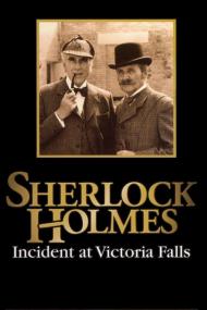 Sherlock Holmes Incident At Victoria Falls <span style=color:#777>(1992)</span> [720p] [WEBRip] <span style=color:#fc9c6d>[YTS]</span>