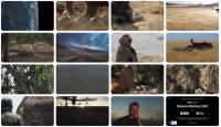 Planet Earth III S01E03 Deserts and Grasslands