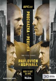 UFC 295 Prochazka vs Pereira 1080p HDTV H264 manhy