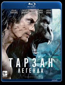 Tarzan Legenda<span style=color:#777> 2016</span> RUS BDRip x264 <span style=color:#fc9c6d>-HELLYWOOD</span>