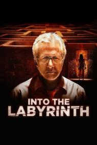 Into the Labyrinth<span style=color:#777> 2019</span> 1080p AMZN WEB-DL DDP 5.1 H.264-PiRaTeS[TGx]
