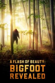 A Flash Of Beauty Bigfoot Revealed <span style=color:#777>(2022)</span> [1080p] [WEBRip] <span style=color:#fc9c6d>[YTS]</span>