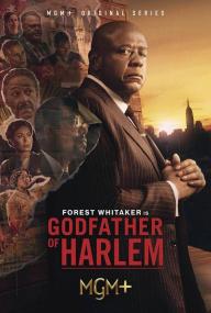 【高清剧集网发布 】哈林教父 第三季[全10集][简繁英字幕] Godfather of Harlem S03 1080p DSNP WEB-DL DDP 5.1 H.264-BlackTV