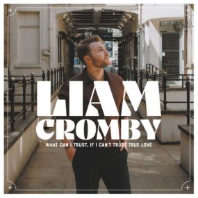 Liam Cromby - What Can I Trust, If I Can't Trust True Love <span style=color:#777>(2023)</span> [24Bit-44.1kHz] FLAC [PMEDIA] ⭐️