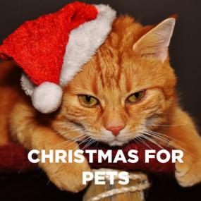 Various Artists - Christmas for Pets  Have a Furry Christmas and a Happy New Year! <span style=color:#777>(2023)</span> Mp3 320kbps [PMEDIA] ⭐️
