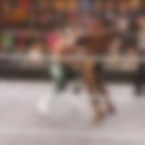 WWE NXT<span style=color:#777> 2023</span>-12-12 WWEN 720p Lo WEB h264<span style=color:#fc9c6d>-HEEL[TGx]</span>