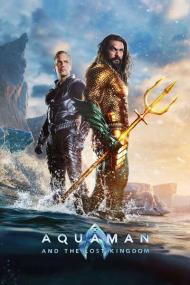 Aquaman and the Lost Kingdom<span style=color:#777> 2023</span> 720p HDCAM<span style=color:#fc9c6d>-C1NEM4[TGx]</span>