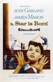 【高清影视之家发布 】一个明星的诞生[中文字幕] A Star Is Born 1954 BluRay 1080p AAC x264<span style=color:#fc9c6d>-DreamHD</span>
