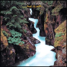 Cat Stevens - Back to Earth (Remastered<span style=color:#777> 2019</span>) (1978 Folk) [Flac 16-44]