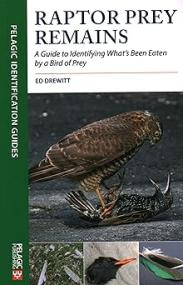 [ CourseWikia com ] Raptor Prey Remains - A Guide to Identifying What's Been Eaten by a Bird of Prey