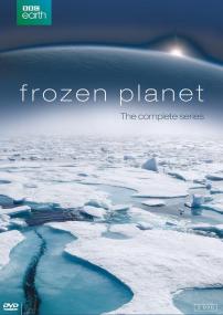 【高清剧集网发布 】冰冻星球 第一季[全6集][中文字幕] Frozen Planet S01<span style=color:#777> 2011</span> 1080p LINETV WEB-DL H264 AAC<span style=color:#fc9c6d>-ZeroTV</span>