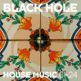 Various Artists - Black Hole House Music 01-24 <span style=color:#777>(2024)</span> Mp3 320kbps [PMEDIA] ⭐️