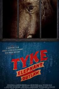 Tyke Elephant Outlaw <span style=color:#777>(2015)</span> [720p] [WEBRip] <span style=color:#fc9c6d>[YTS]</span>