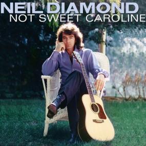 Neil Diamond - Not Sweet Caroline -<span style=color:#777> 2024</span> - WEB FLAC 16BITS 44 1KHZ-EICHBAUM
