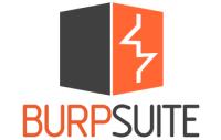 Burp Suite Professional<span style=color:#777> 2023</span>.12.1.5