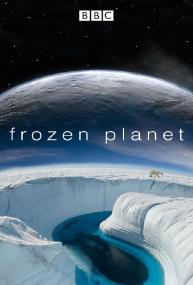 Frozen Planet<span style=color:#777> 2011</span> S01 COMPLETE DKSubs 2160p WEB-Rip x264-STATiXDK