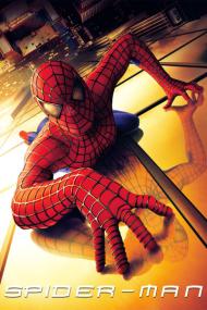 Spider-Man<span style=color:#777> 2002</span> 2160p BluRayRip EAC3 5.1 HDR x265-Groupless[TGx]