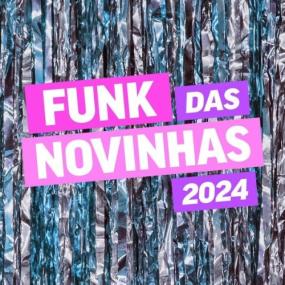 Various Artists - Funk das Novinhas<span style=color:#777> 2024</span> <span style=color:#777>(2024)</span> Mp3 320kbps [PMEDIA] ⭐️