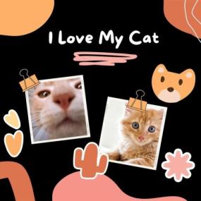Various Artists - I Love My Cat <span style=color:#777>(2024)</span> Mp3 320kbps [PMEDIA] ⭐️