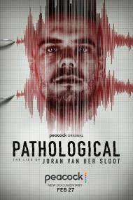 Pathological The Lies Of Joran Van Der Sloot <span style=color:#777>(2024)</span> [1080p] [WEBRip] [5.1] <span style=color:#fc9c6d>[YTS]</span>